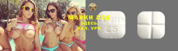 меф VHQ Дмитриев