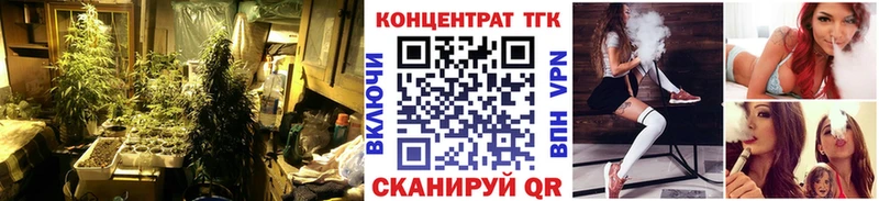 купить наркотики сайты  МЕГА вход  ТГК THC oil  Петухово 