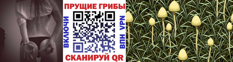 даркнет какой сайт  Петухово  Псилоцибиновые грибы MAGIC MUSHROOMS 